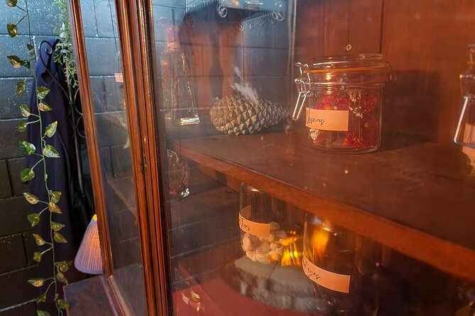 Escape Room Experience Taupo - The Enchanted Candy Forest - The opening mission: protect the Tree of Life