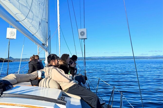 Evening Eco Sailing Adventure to Māori Rock Carvings Lake Taupō - Food, drinks, and the practical onboard setup