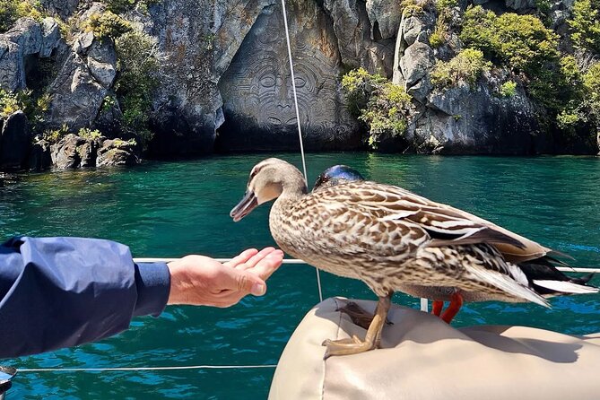 Evening Eco Sailing Adventure to Māori Rock Carvings Lake Taupō - Who will enjoy this evening sail most?