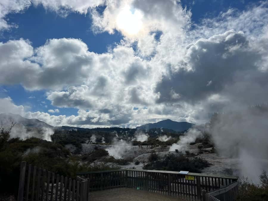 Ex Hamilton: Triple Deal WAI-O-TAPU, Redwood & Blue Springs - Key points at a glance
