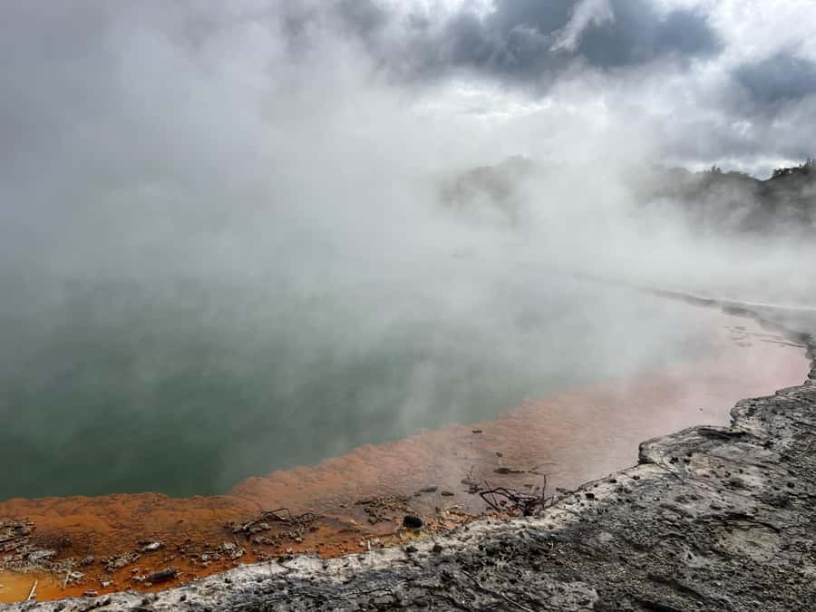 Ex Hamilton: Triple Deal WAI-O-TAPU, Redwood & Blue Springs - Redwood Forest after the thermal heat