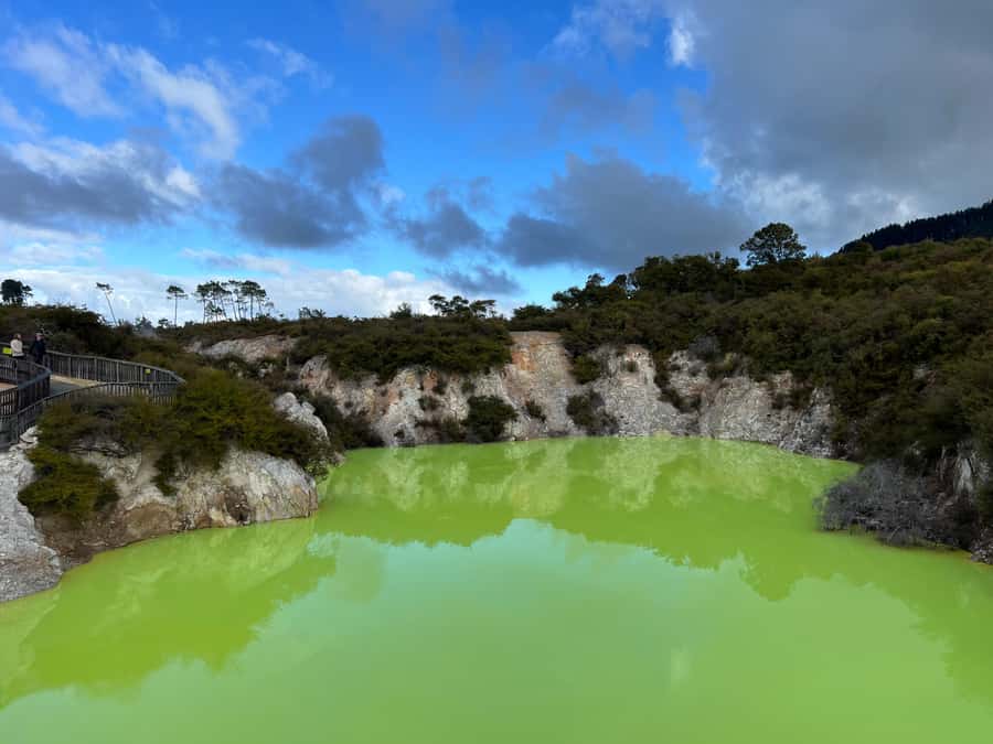 Ex Hamilton: Triple Deal WAI-O-TAPU, Redwood & Blue Springs - Leaving Hamilton before 7:30 AM