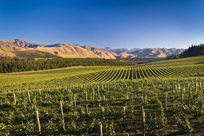 Exclusive Picton Wine & Scenic Adventure: VIP Cruise Experience - Jackson Estate: the most substantial winery visit