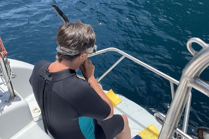 Exclusive Sailing Charter from Waiheke Island - Swimming, snorkelling, and stand-up paddleboarding