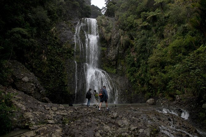 Explore BLACK SAND PIHA BEACH, and Water Falls in West Auckland - Kitekite Falls and the forest track