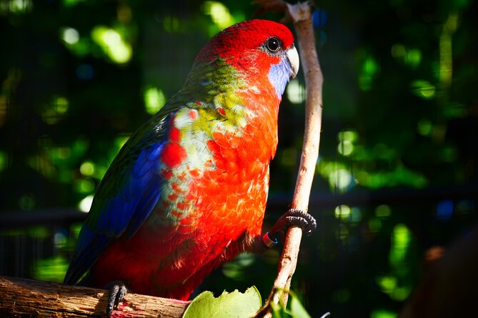 Explore gardens & galleries filled with incredible art, Matakana - The art that keeps children involved