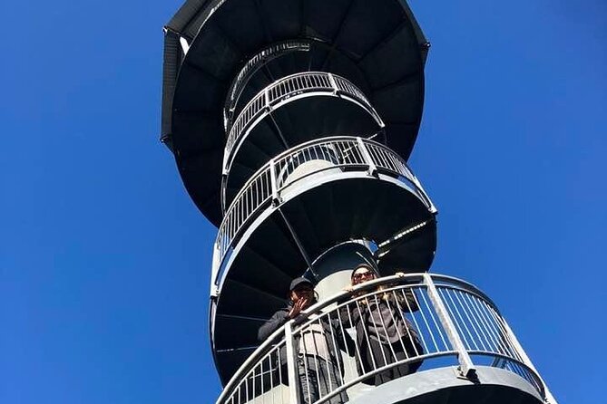 Explore Hokitika Gorge and Tree Top Walkway - Walking above the forest at the Treetop Walkway