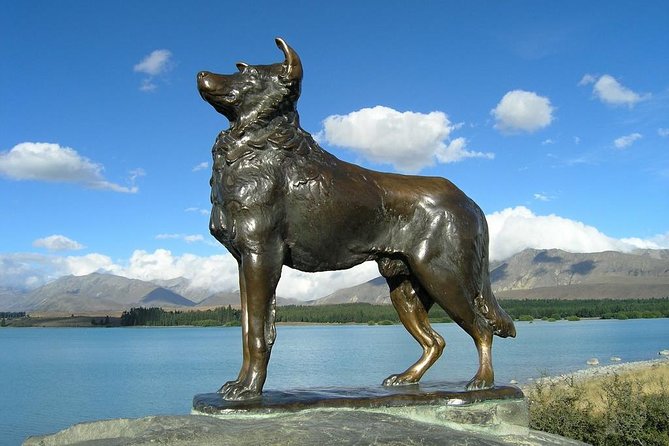 Explore Mount Cook from Christchurch - Is $279.26 a fair price?