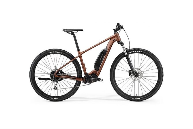 Explore Queenstown's Scenic Trails with an Electric Bike - Lakeside, riverside, and mountain views