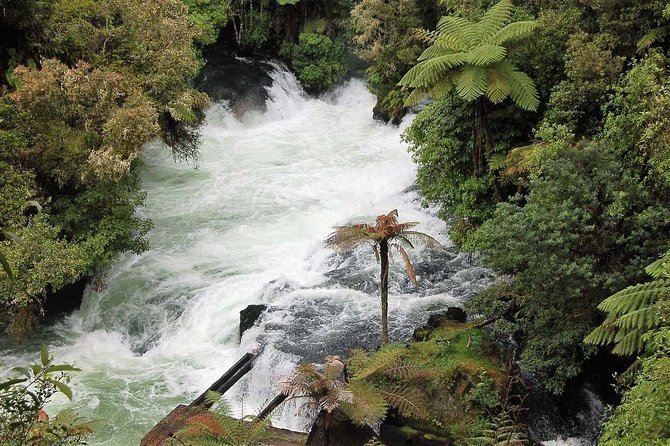 Explore The Lakes Tour - Four hours in an air-conditioned minivan