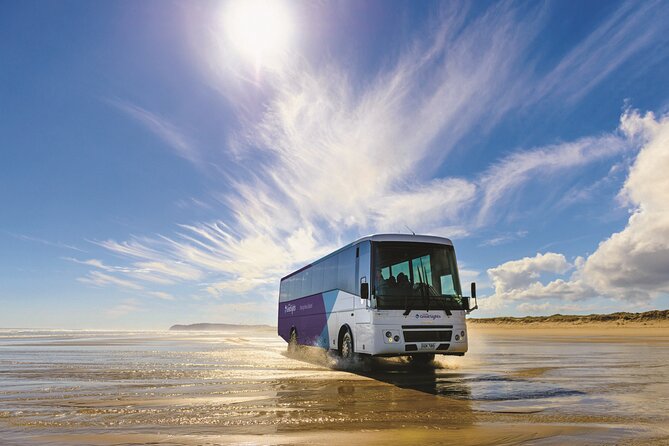 Far North New Zealand Tour Including 90 Mile Beach and Cape Reinga from Paihia - Mangonui and the first taste of Northland