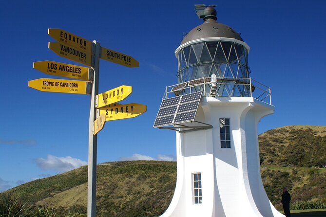 Far North New Zealand Tour Including 90 Mile Beach and Cape Reinga from Paihia - Riding 90 Mile Beach by 4x4 coach