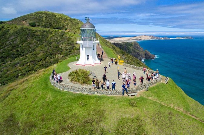 Far North New Zealand Tour Including 90 Mile Beach and Cape Reinga from Paihia - Te Paki sand dunes and sandboarding