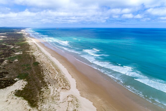 Far North New Zealand Tour Including 90 Mile Beach and Cape Reinga from Paihia - The 7:00 am departure from Paihia