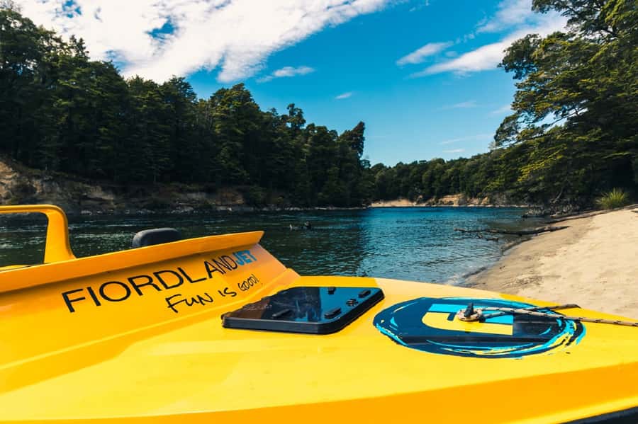 Fiordland: Jet Boat & Nature Walk Experience from Te Anau - Who should book this activity?