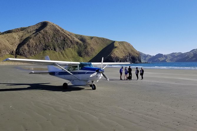 Flight Experience our Water and Wilderness Scenic Tour - Passing the tuatara islands
