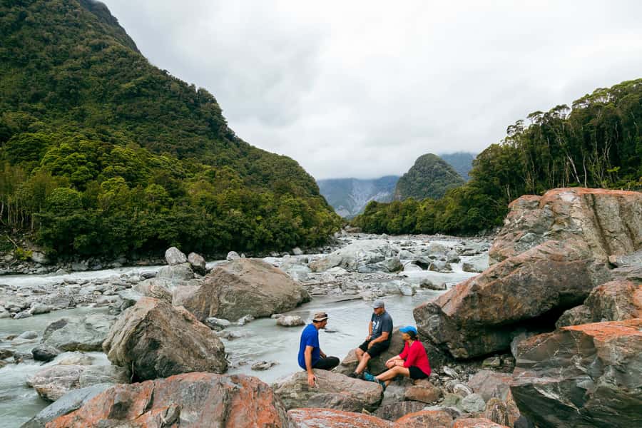 Fox Glacier: Half Day Walking & Nature Tour with Local Guide - Key Details Before You Book