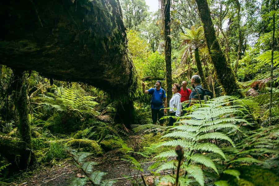 Fox Glacier: Half Day Walking & Nature Tour with Local Guide - The Riverbed Break With Tea, Coffee, or Hot Chocolate