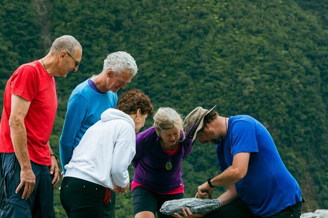 Fox Glacier Nature Tour - Starting at 1:30 pm from Franz Josef