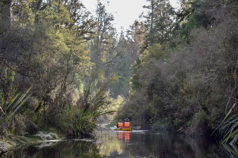 Franz Josef: 3-Hour Kayak Tour on Lake Mapourika - Guide quality is a major strength