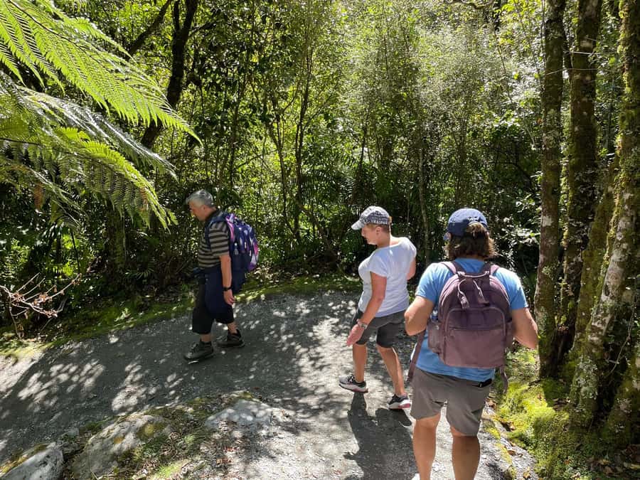 Franz Josef: Franz Josef Glacier Lookout Guided Walk - The glacier viewpoint and kettle lake