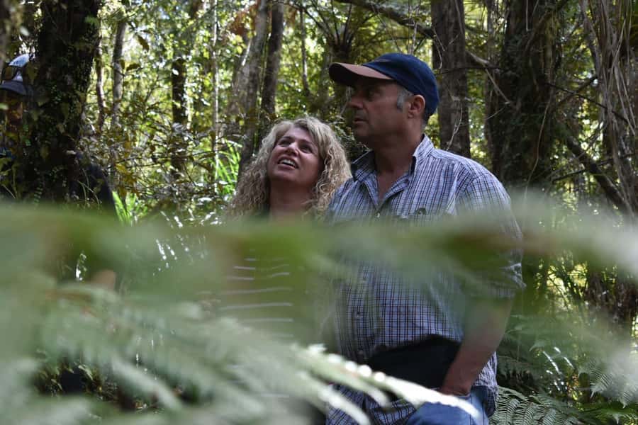 Franz Josef Glacier: 2.5-Hour Lake Mapourika Cruise and Walk - Key points to know before you book