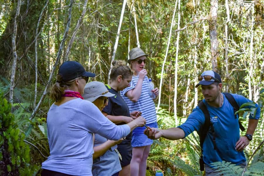 Franz Josef Glacier: 2.5-Hour Lake Mapourika Cruise and Walk - Cruising Lake Mapourika toward the sanctuary bays