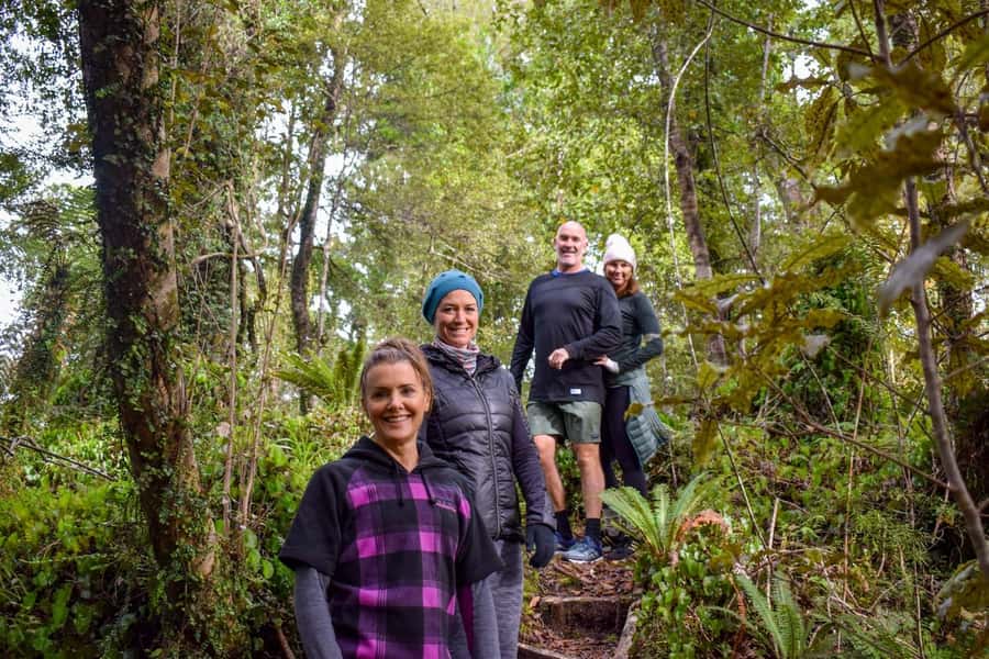 Franz Josef Glacier: 2.5-Hour Lake Mapourika Cruise and Walk - Looking for birds, plants, and small forest details