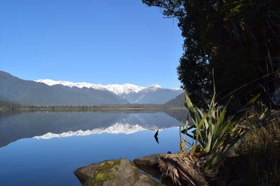 Franz Josef Glacier: 2.5-Hour Lake Mapourika Cruise and Walk - Who will enjoy this outing most