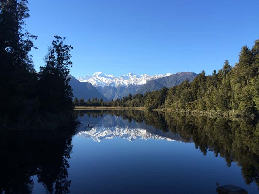 Franz Josef: Half-Day Nature Tour to Lake Matheson - What makes this Lake Matheson tour worth considering