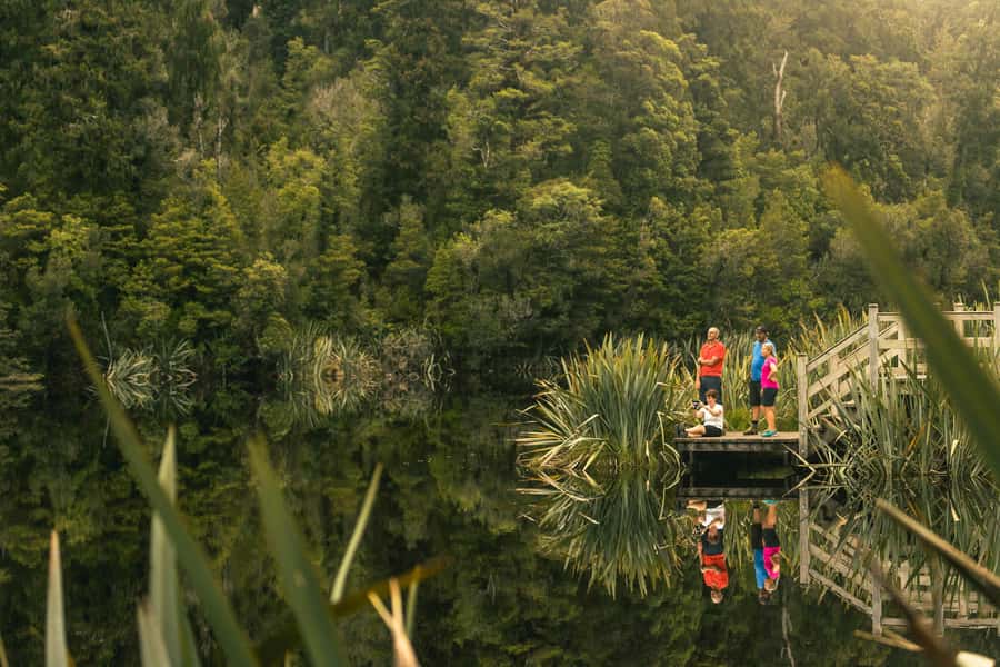Franz Josef: Half-Day Nature Tour to Lake Matheson - What you can see beyond the famous mountains