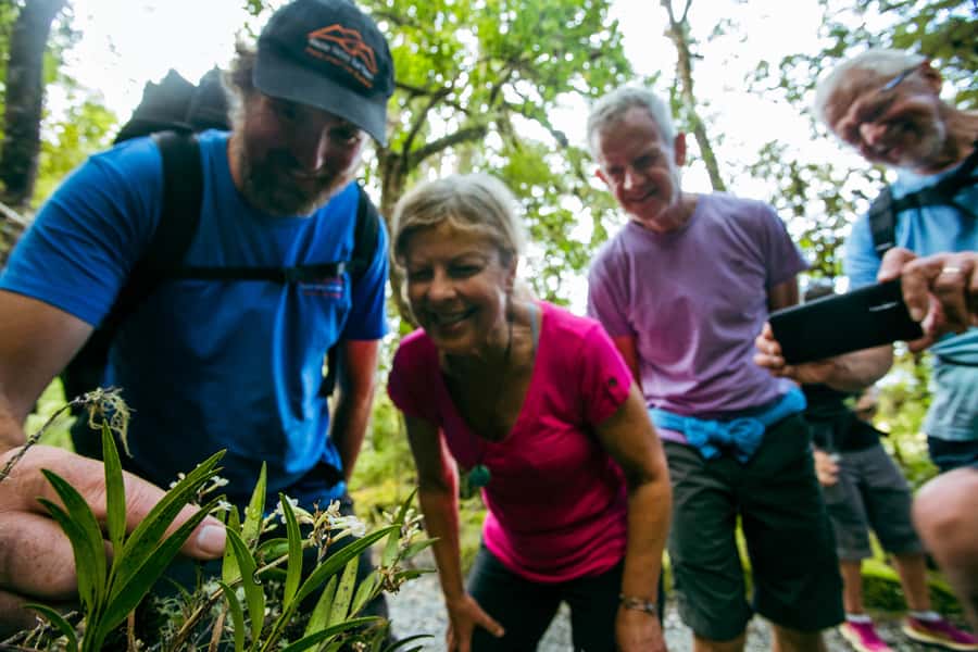 Franz Josef: Half-Day Nature Tour to Lake Matheson - Should you book the Lake Matheson tour?