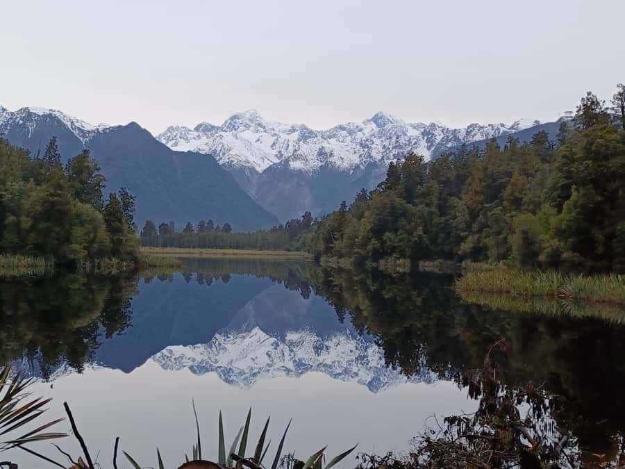 Franz Josef: Half-Day Nature Tour to Lake Matheson - The first steps into an ancient rainforest