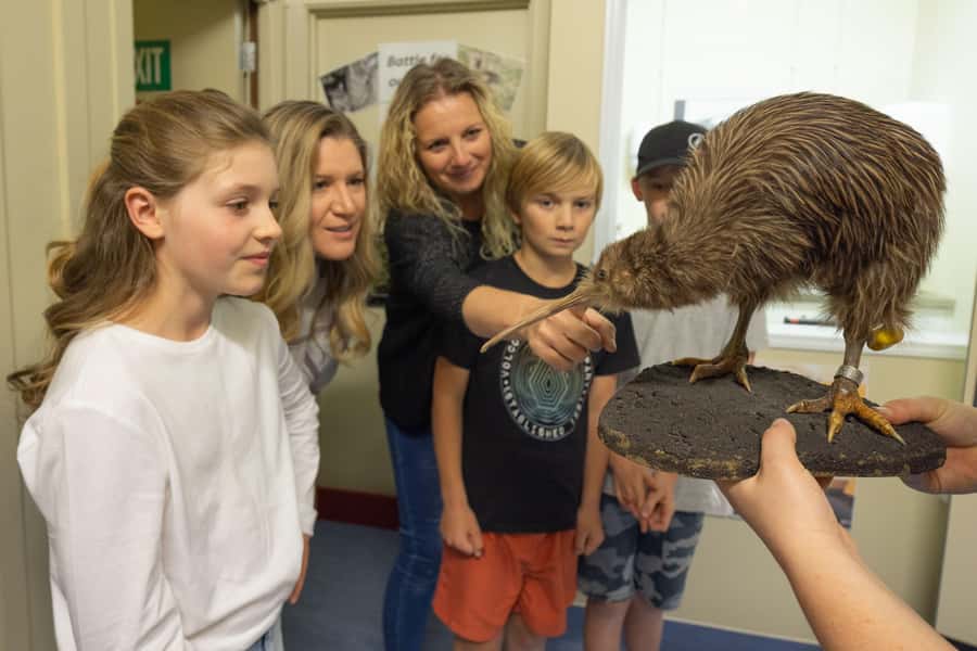 Franz Josef: Kiwi VIP Backstage Pass Tour -Booking Essential - Key points to know before you book
