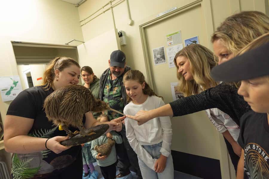 Franz Josef: Kiwi VIP Backstage Pass Tour -Booking Essential - Meeting the tuatara indoors