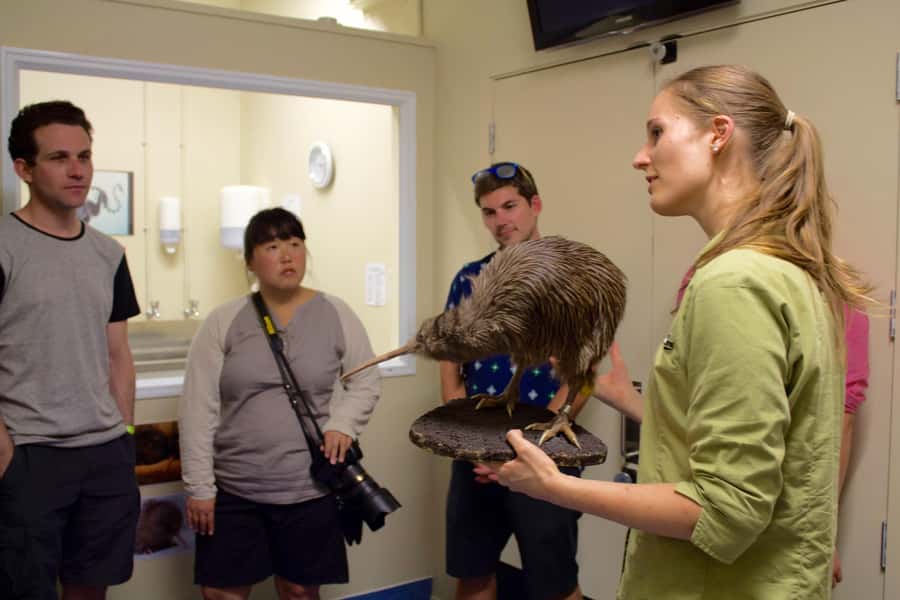 Franz Josef: Kiwi VIP Backstage Pass Tour -Booking Essential - Group size and the meaning of VIP