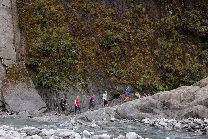 Franz Josef Nature Tour - Key points before you book