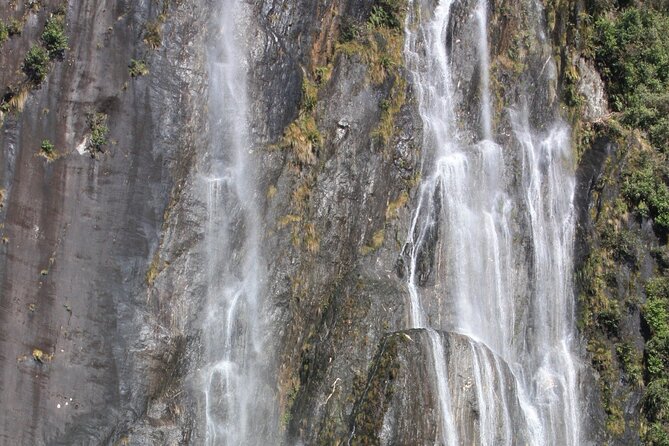 Franz Josef Nature Tour - How the $68.26 price works as value