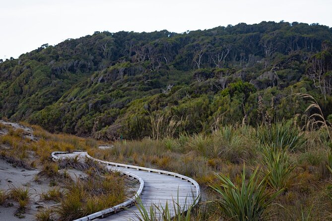 Franz Josef to Queenstown Small Group Tour via Wanaka 1 -Way - Lake Hāwea, Wānaka, and the famous tree