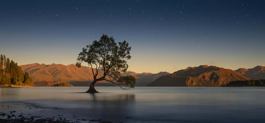 Franz Josef to Queenstown Tour via Wānaka - Lake Matheson and the Mt. Cook reflection
