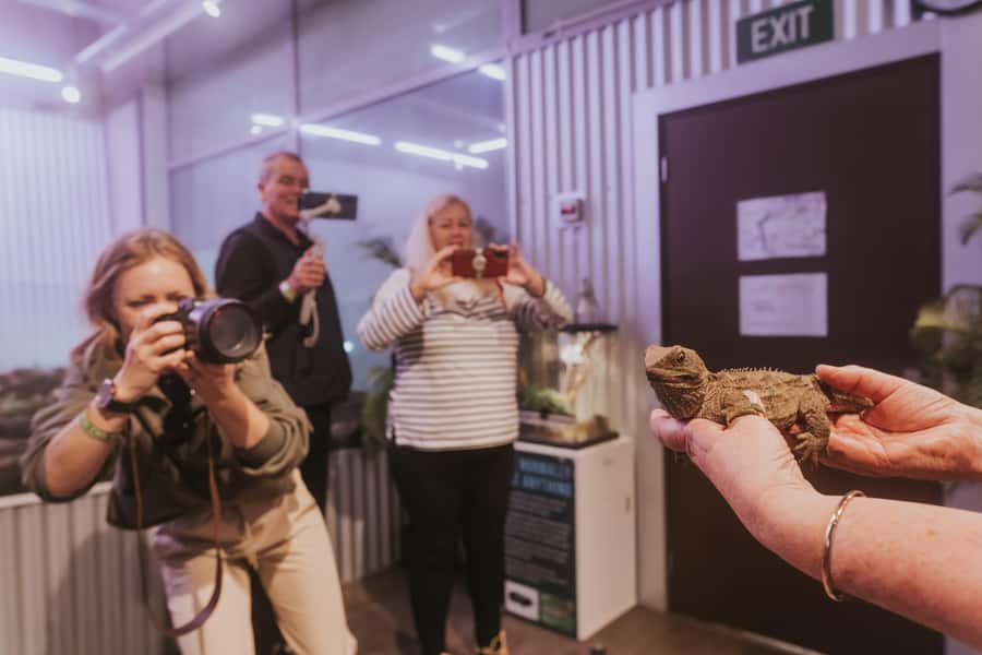 Franz Josef: West Coast Wildlife Centre Entry Ticket -48 hrs - The tuatara habitat and a 200-million-year story