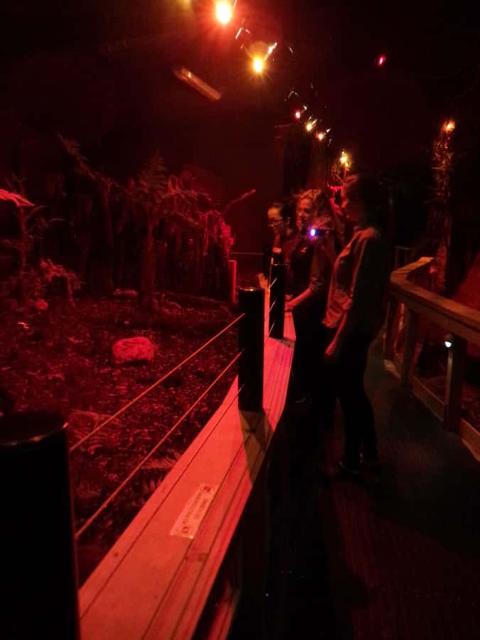 Franz Josef: West Coast Wildlife Centre Entry Ticket -48 hrs - The new penguin encounter at 11am and 3pm