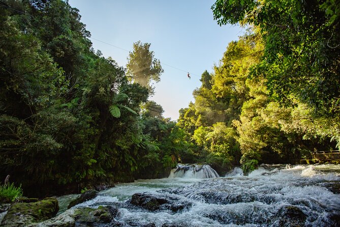 Freak of Nature at Off Road NZ - The setting outside Rotorua