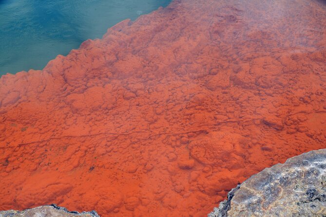 From Auckand: Waiotapu and Polynesian Spa Rotorua Day Tour - Leaving Auckland at 6:00 a.m.