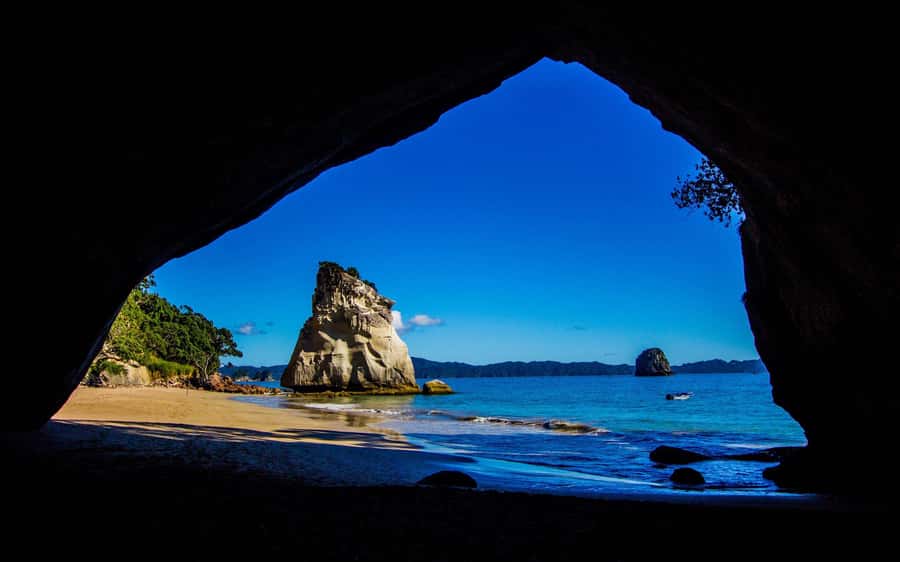 From Auckland: Cathedral Cove & Hot Water Beach Tour - Key points at a glance