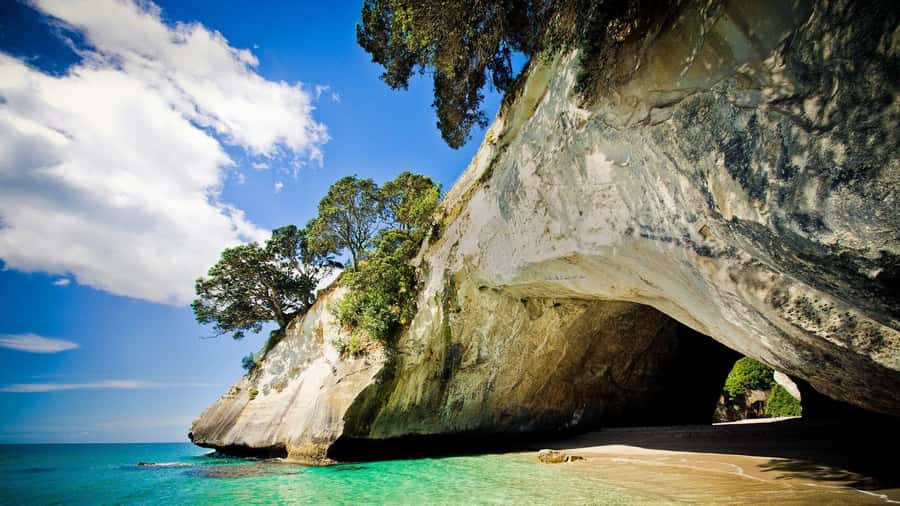From Auckland: Cathedral Cove & Hot Water Beach Tour - Why the Coromandel makes a worthwhile day trip