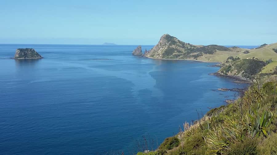 From Auckland: Cathedral Cove & Hot Water Beach Tour - Hot Water Beach: geothermal fun with a catch