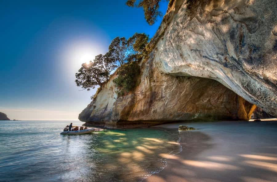 From Auckland: Cathedral Cove & Hot Water Beach Tour - What the 10-hour format is really worth