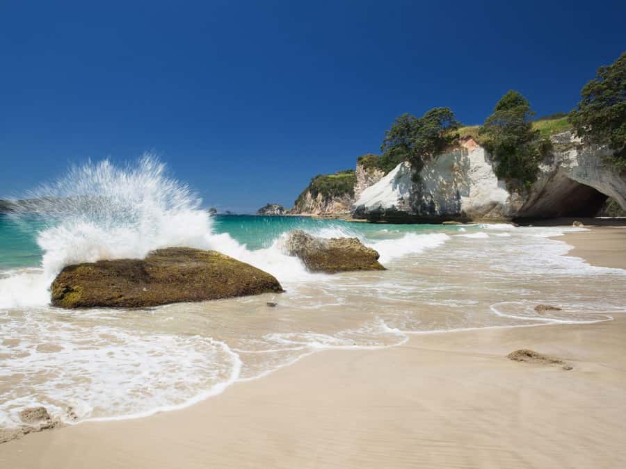 From Auckland: Cathedral Cove & Hot Water Beach Tour - The Auckland pickup: useful, but arrive early