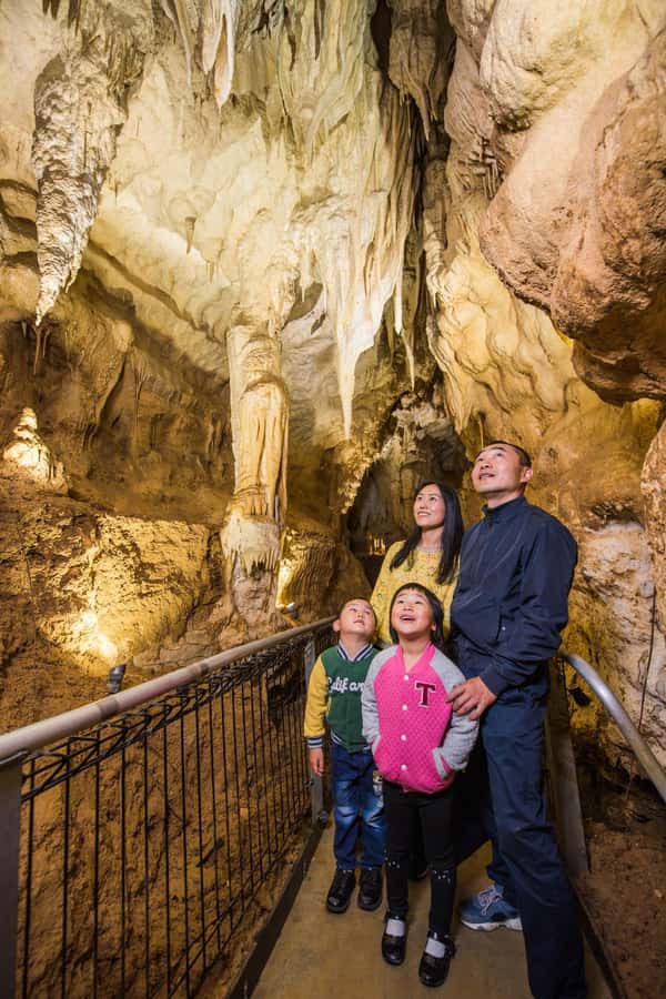 From Auckland: Day Trip to Waitomo Glow Worm Caves - Inside the cave: formations, history, and titiwai